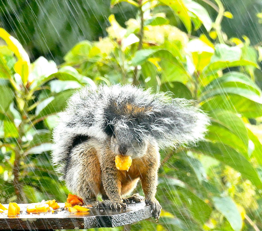 B994583A-9EA3-4144-8B66-138D3FB420B9