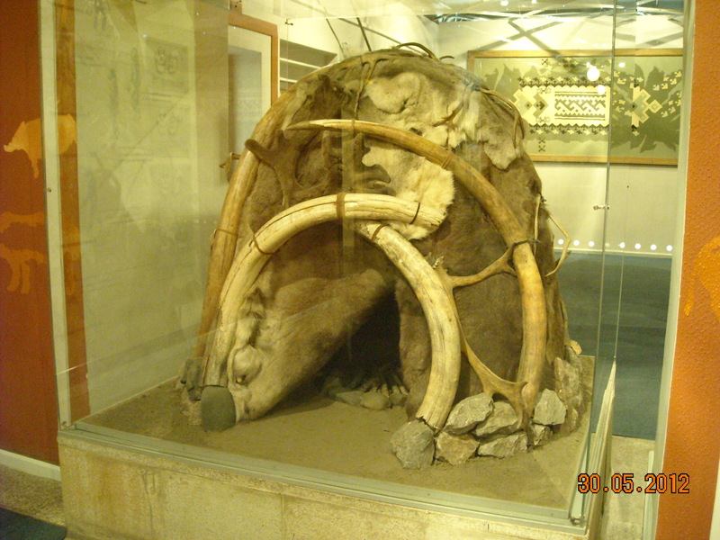 DSCN8011