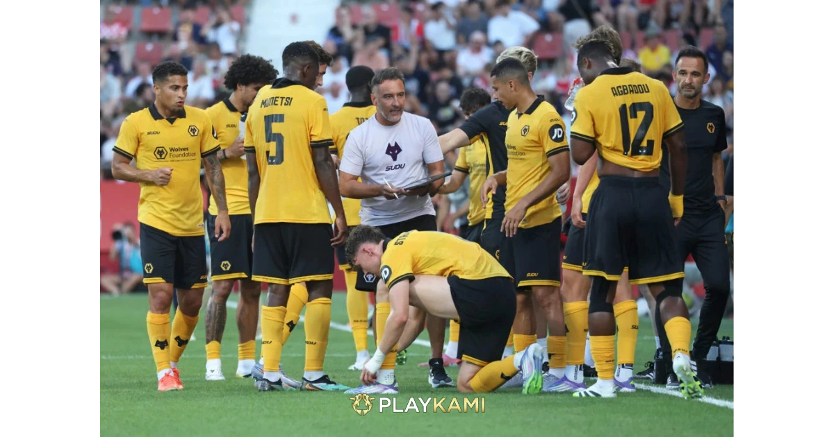 Premier League Wolves