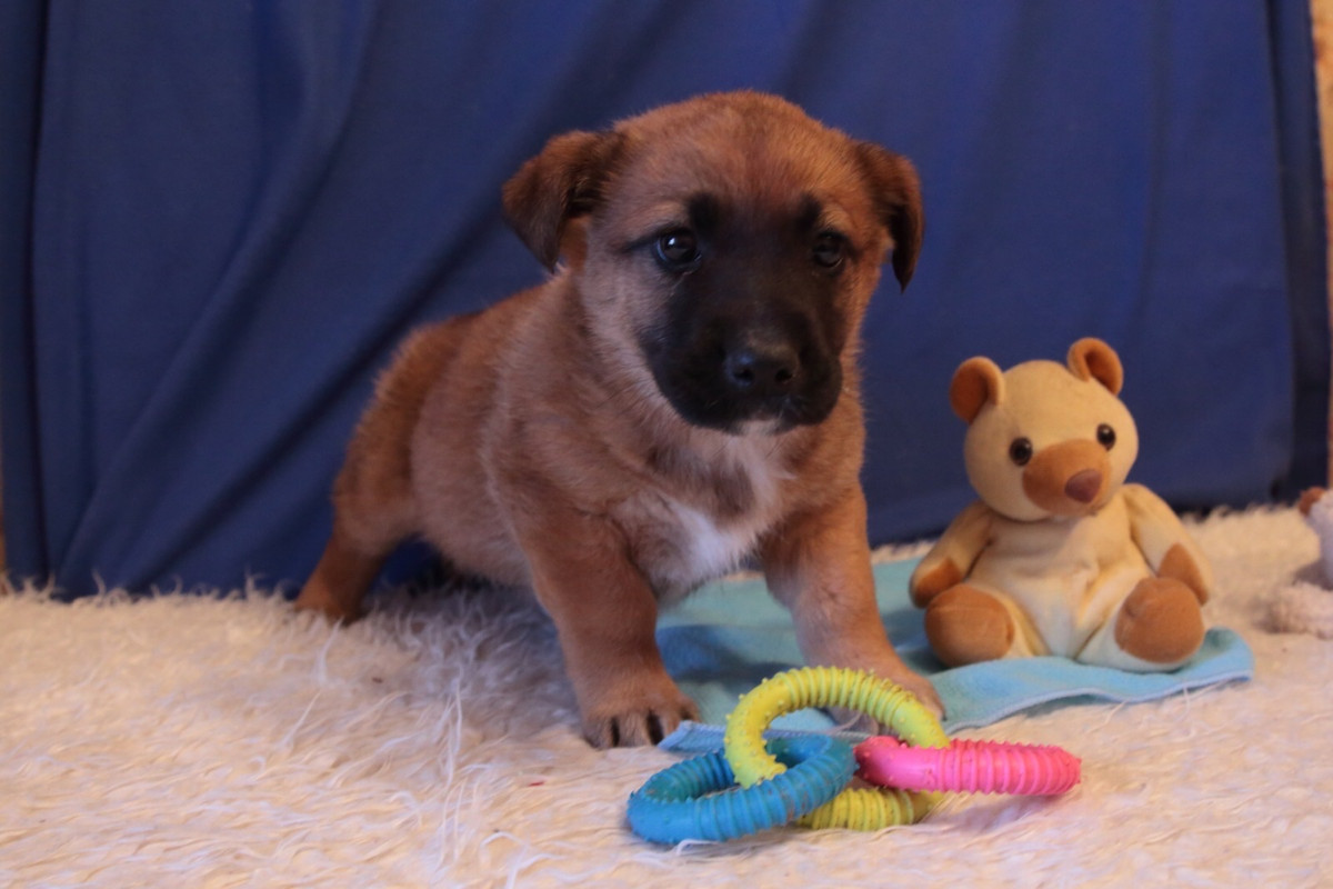 E64C4DBA-40A1-481E-84F7-62C3003E87FF