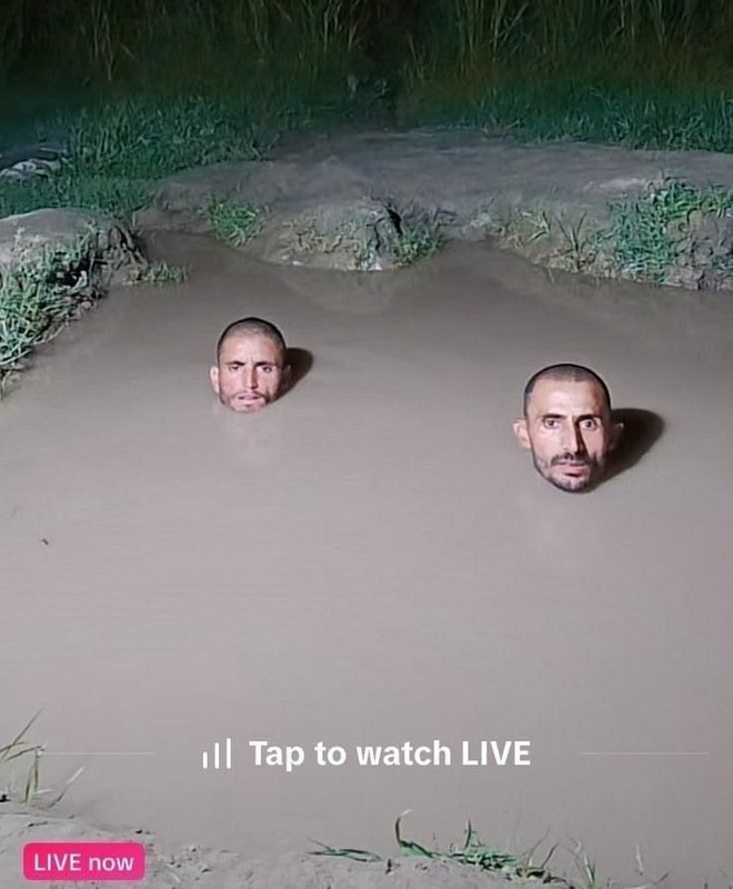 https://i.postimg.cc/zGpgRHhW/lol.jpg