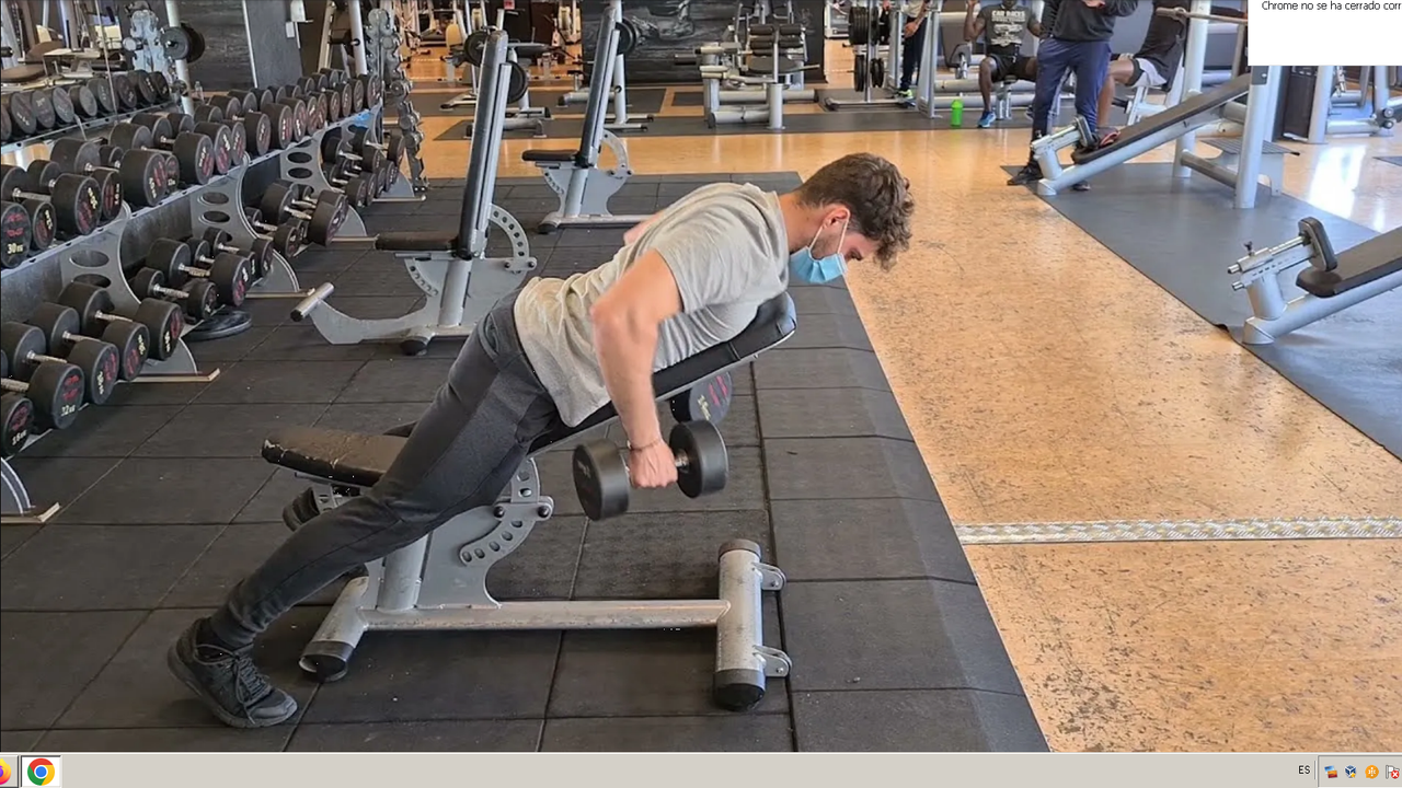 ¿Qué músculos trabaja el seal row?