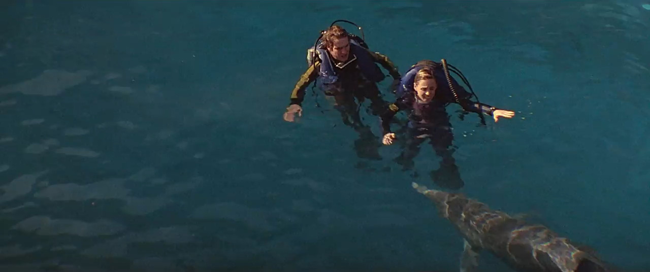 Jaws 3-D 1983 BluRay [Hindi + English] 480p 720p ESub Screenshot