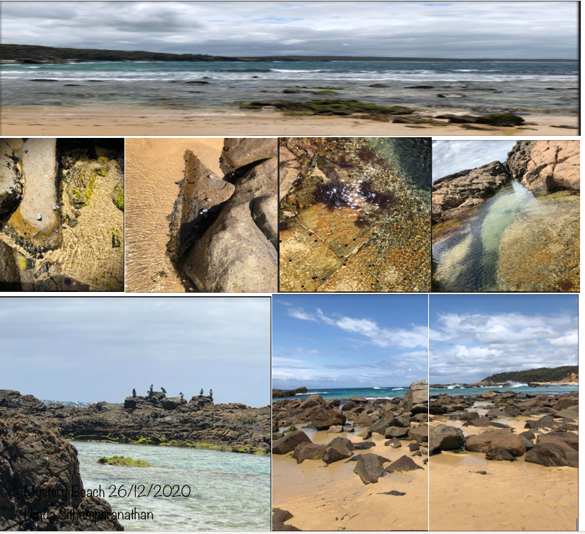 5-F36-E4-E4-252-B-49-F1-8-B7-E-066-A1394