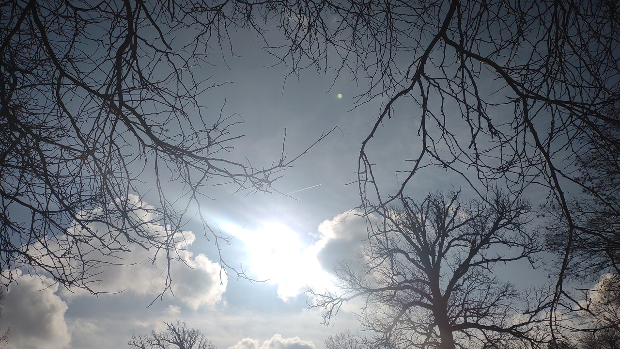 IMG 20251121 105259994