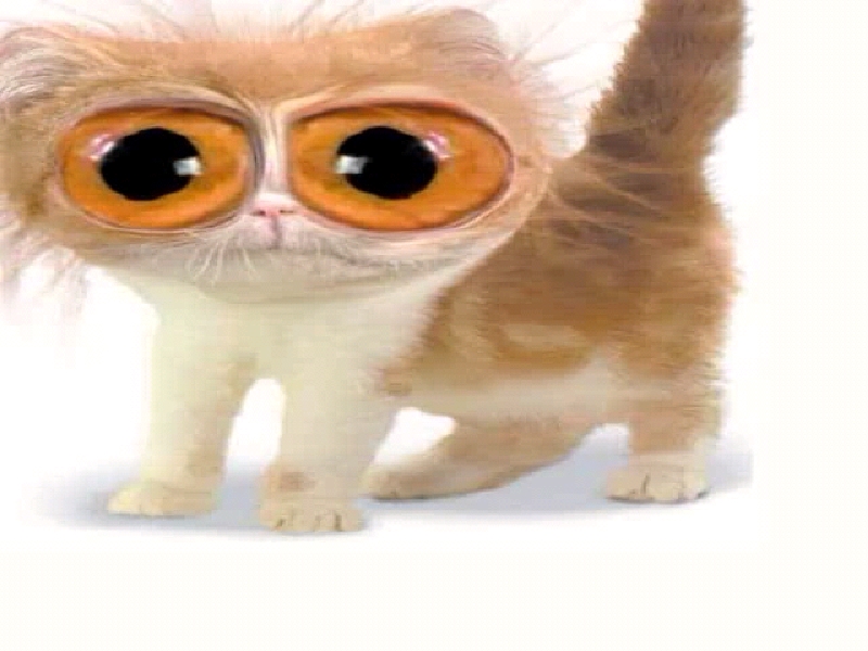 Сохраненное изображение 2018-2-12_22-30-23.171