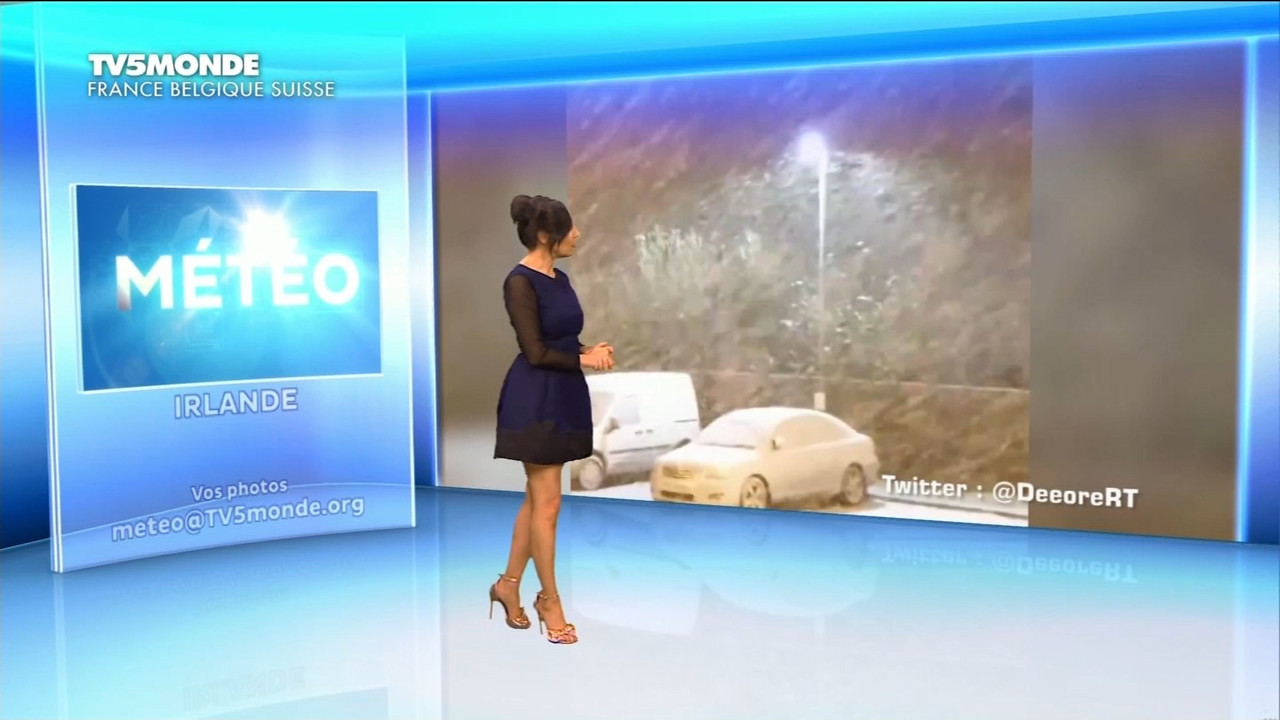 12.28 - 17.26.00 - Météo. Le bulletin météorologique international.ts_snapshot_07.31.192