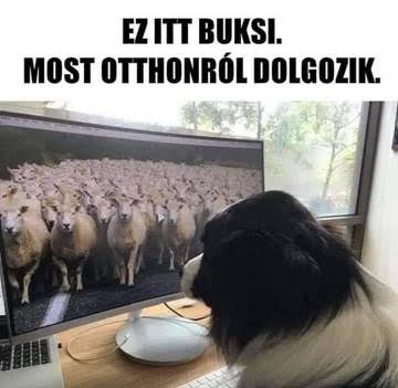 https://i.postimg.cc/zGqHJWBS/ezitt-buksi.jpg