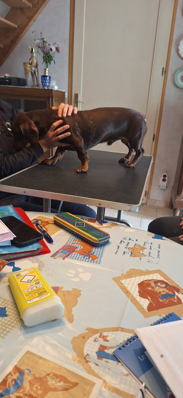 [Image: 20251002-172117.jpg]