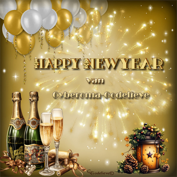 Welkom bij Cyberoma-Godelieve