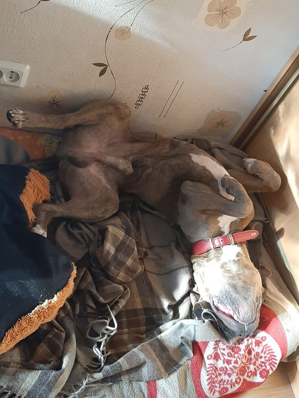 A4093FFC-5BAC-4C71-A2EF-725692912444