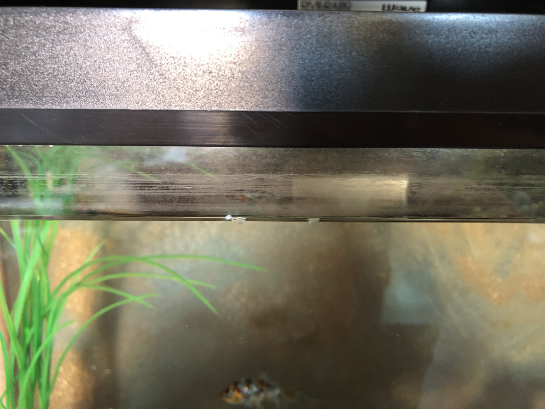 BC975EAD-F29D-4A60-B99B-AA40C6066A32