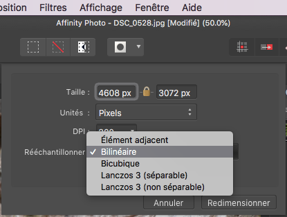 Capture d’écran 2018-06-01 ? 16.23.59