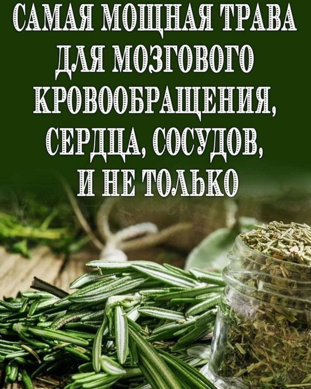 )            г    ) не 2 (2) ис м