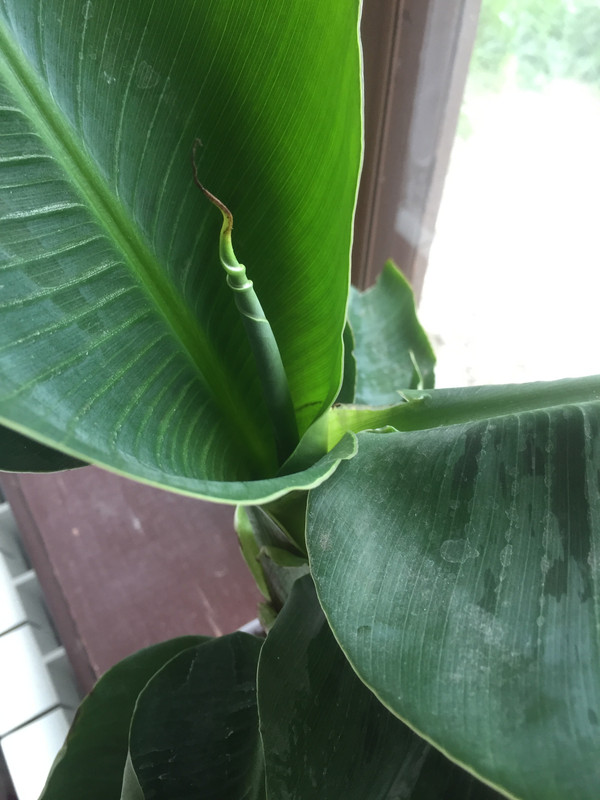 4ECD833F-473F-4C2C-BFE7-D12B500F5B10