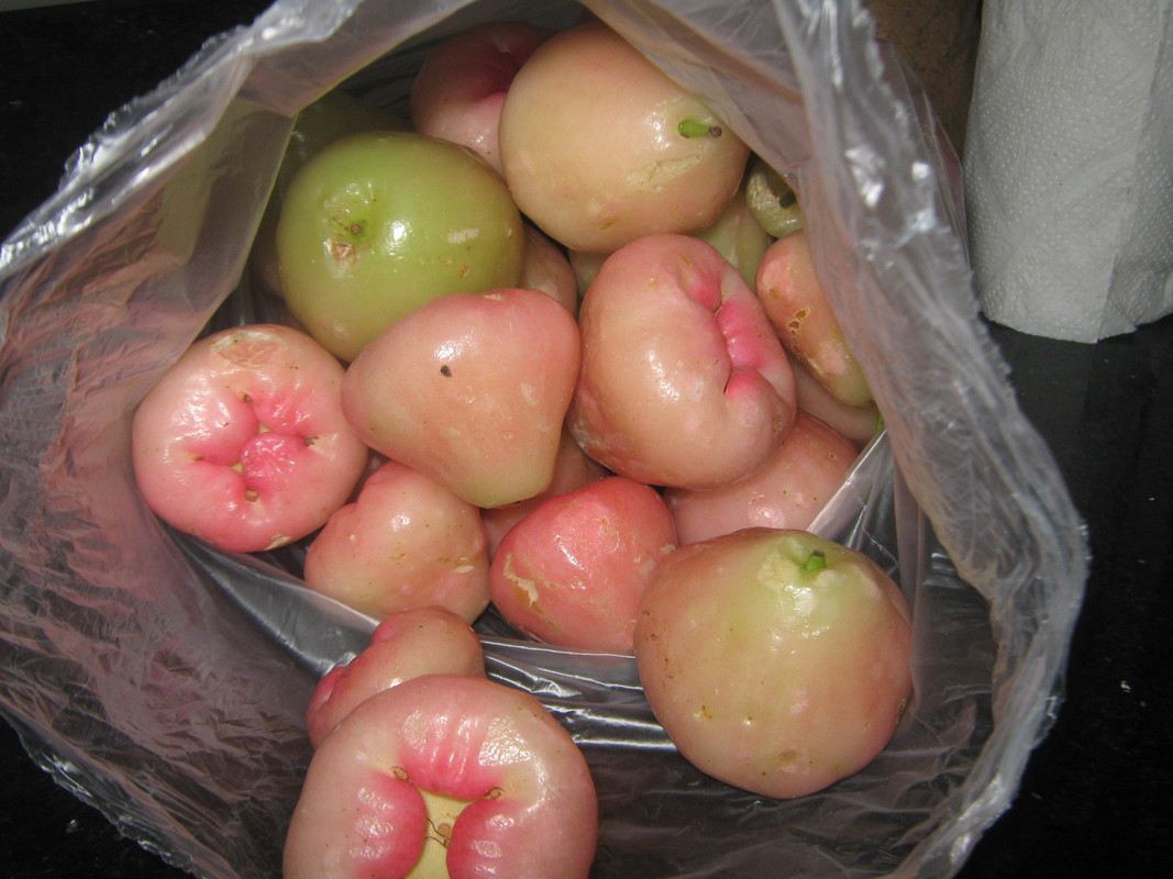 lembu-20150126T214837