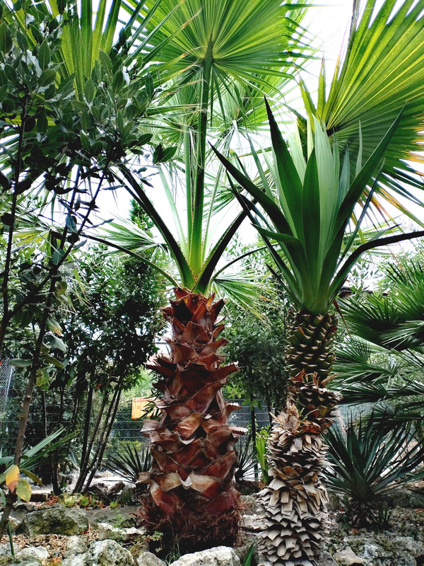 IMG_20250819_175232_edit_202966111176792