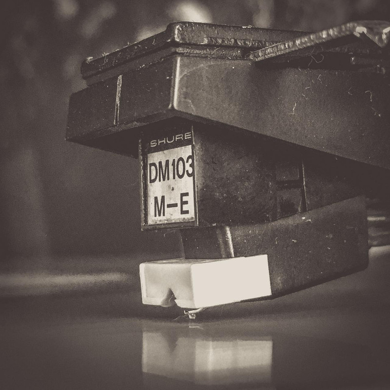 F&TM Lungs 10th (9 von 9)