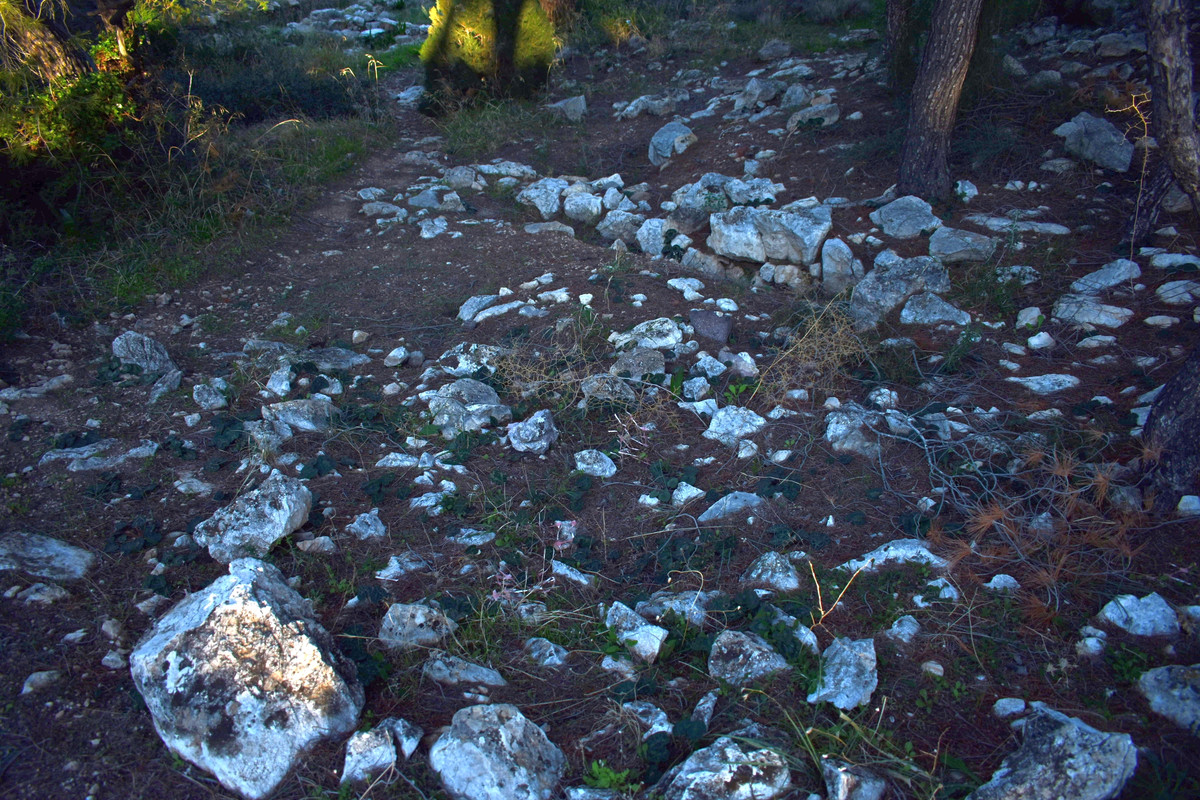 Το ανάκτορο του Αίαντα του Τελαμώνιου (28)