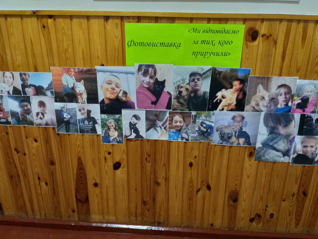 0-02-05-e07dbfeea8e2eaa80b5b4d219f79aaa5ae136364e84c20f9f538bf50a97942b7_76857f62