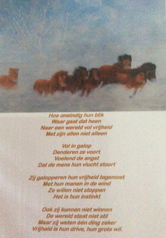 39479B99-F6FF-40CE-9368-998DABE65B9B