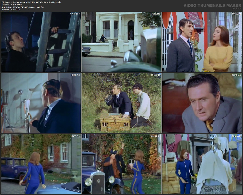 The Avengers S05E05 The Bird Who Knew Too Much.mkv