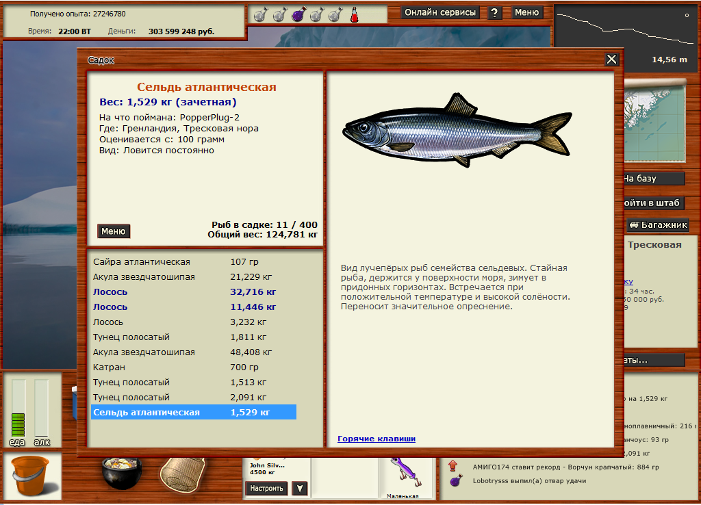 Сельдь атлантическая