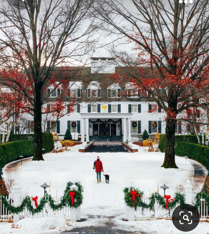 Screenshot_20231023_223746_Pinterest