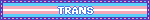 trans
