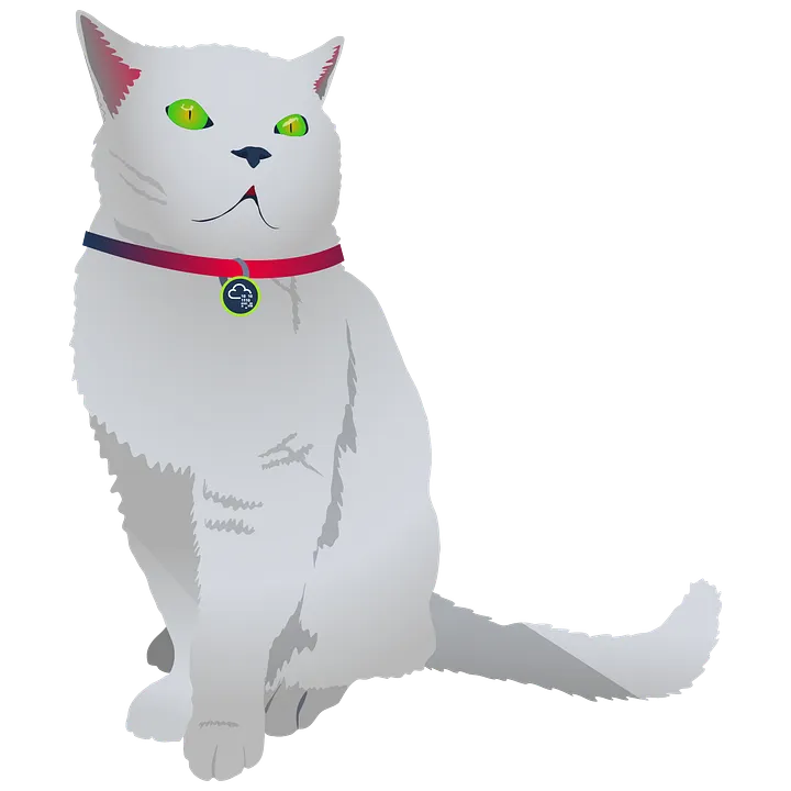 Cat Pictures 2 — THM WriteUp