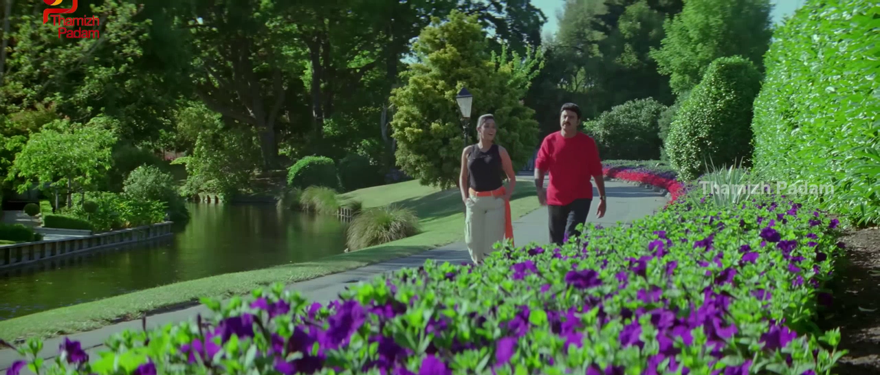 vlcsnap-2025-09-30-17h51m59s212