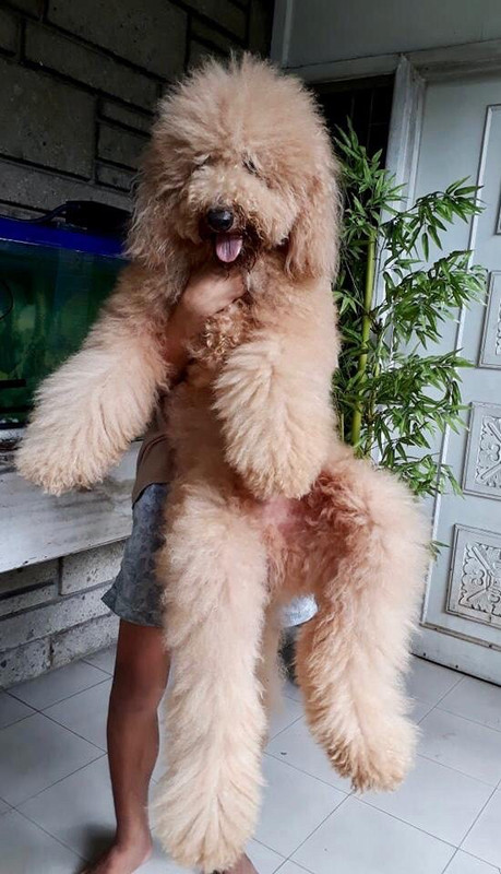 7212CFF4-B3FE-4072-B6FB-A07FBAA5FF44