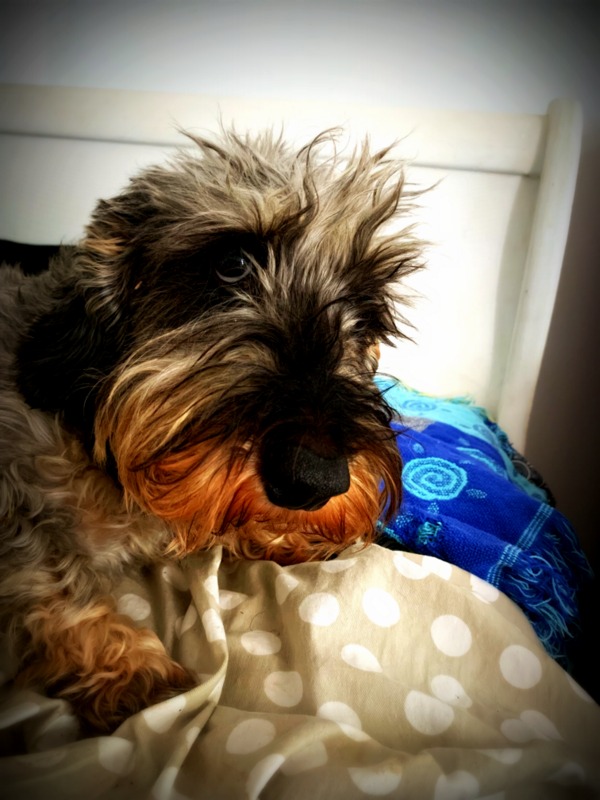 [Image: IMG-1936.jpg]