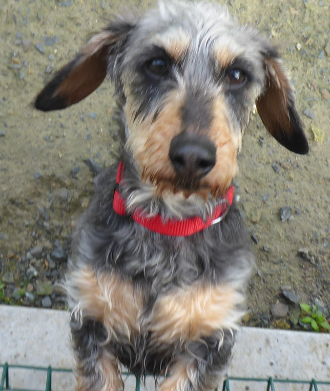 [Image: P1040703.jpg]