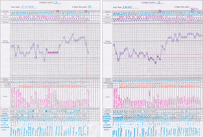 chart-comparison-2015