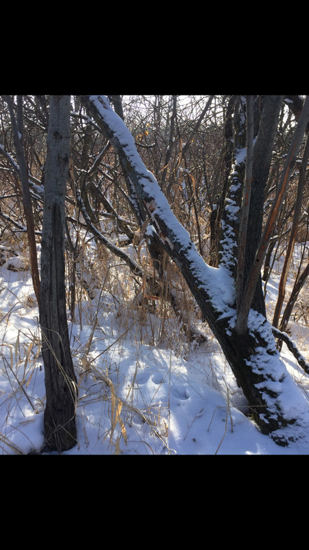 006D91B6-A8A3-43FD-805D-C8813DB1194C