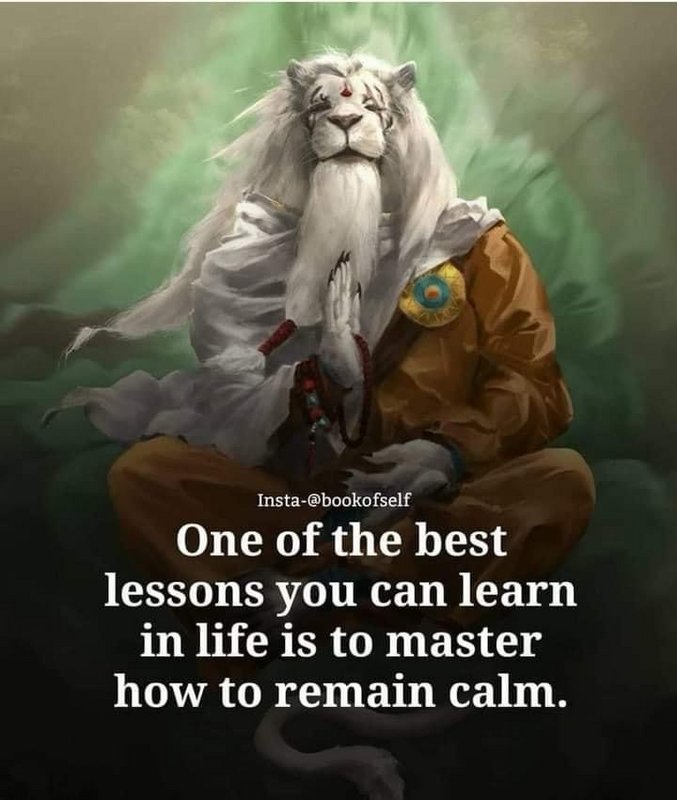 [Image: 287744-E7-2-EC9-4-CD2-8-C4-F-7-C209-E521-F29.jpg]
