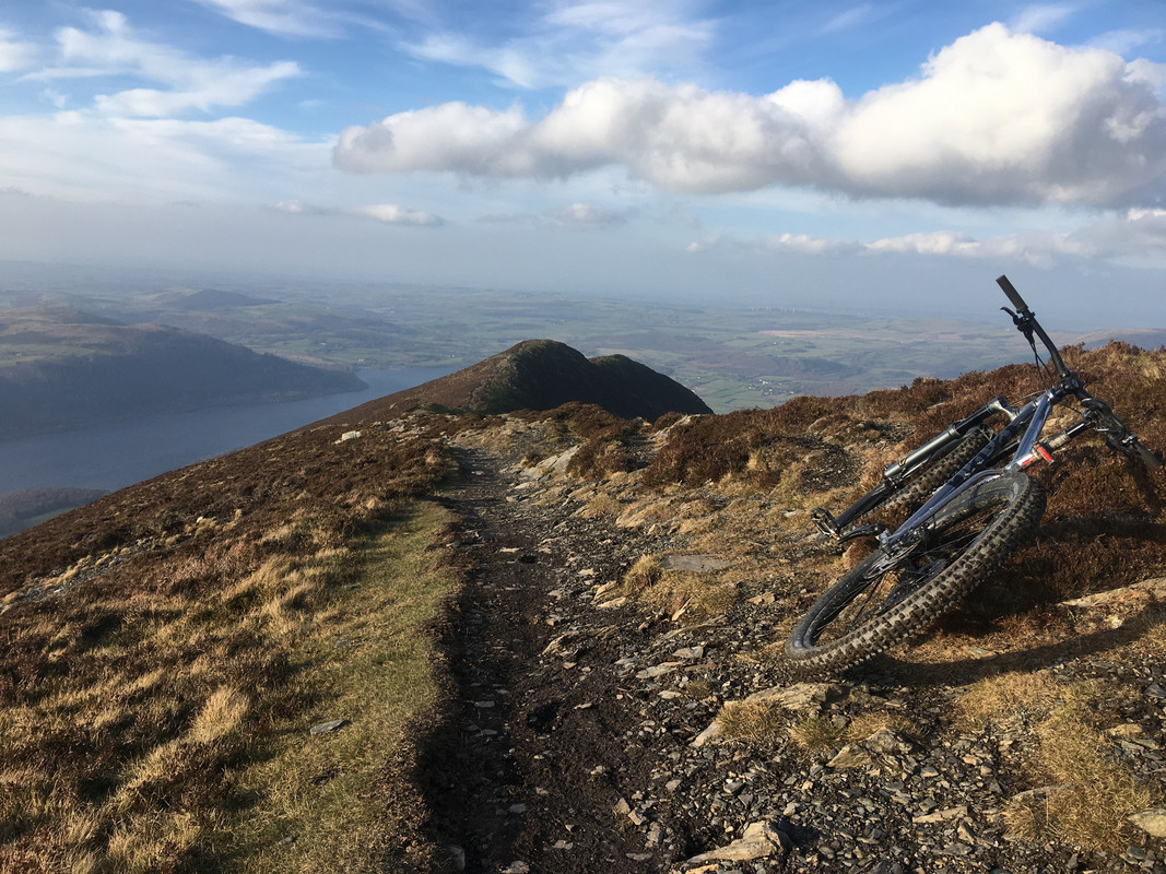 1447885B-2234-4C03-81C7-1977DE75830F