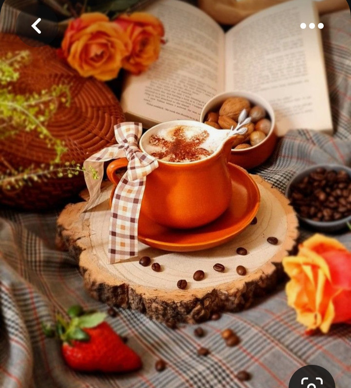 Screenshot_20230712_011640_Pinterest