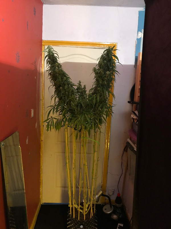 1D1BFFDF-4930-41E2-ACB0-3EC9393B1AAD