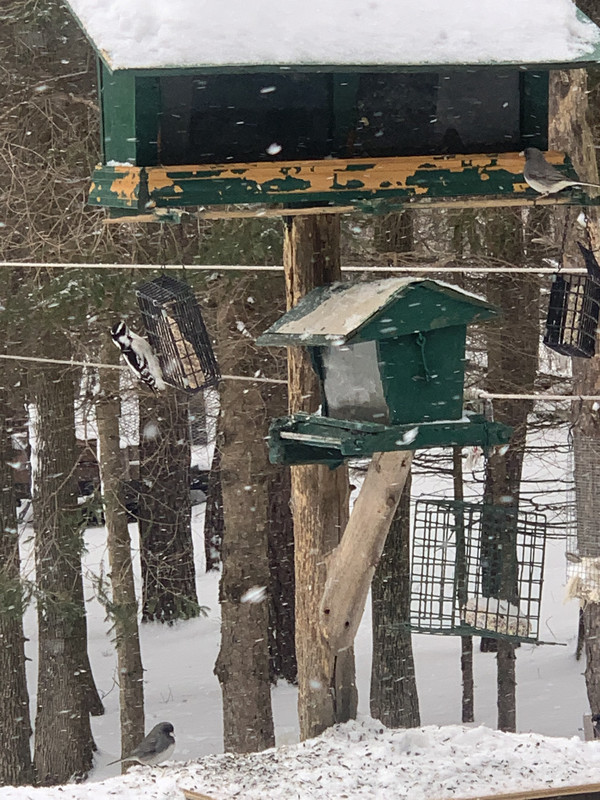 98A7B6FA-FA41-45A4-B751-6E420FE955B0