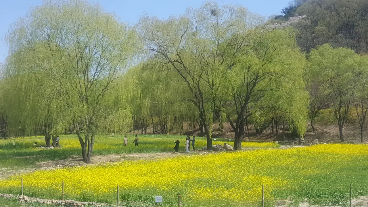 대구 도심 공공인프라 전경 대구 도심의 공공시설과 도시 풍경 전경