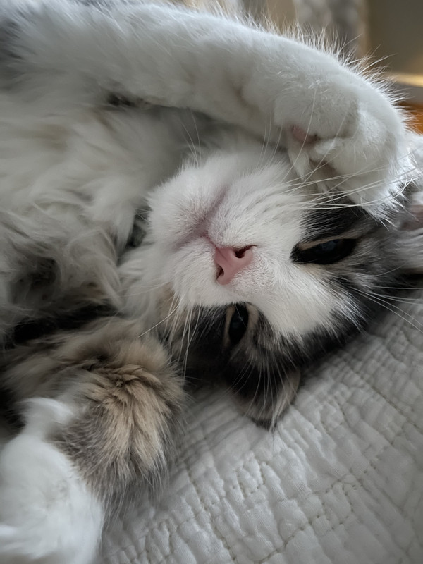 087E23E1-2E33-4ED2-8858-1BE011665047