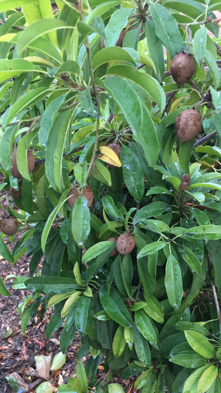 A9C6A9A4-5063-4CDE-BAEC-490621B11DB1