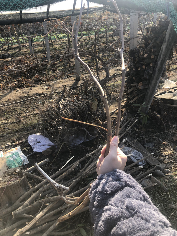 微信图片_20231227172724