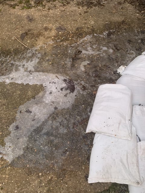 E8600-B16-F36-C-4178-90-AB-19-E85-C2109-