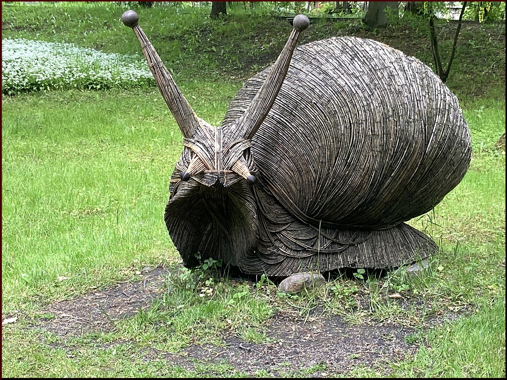 https://i.postimg.cc/zGtpjqNg/58.jpg