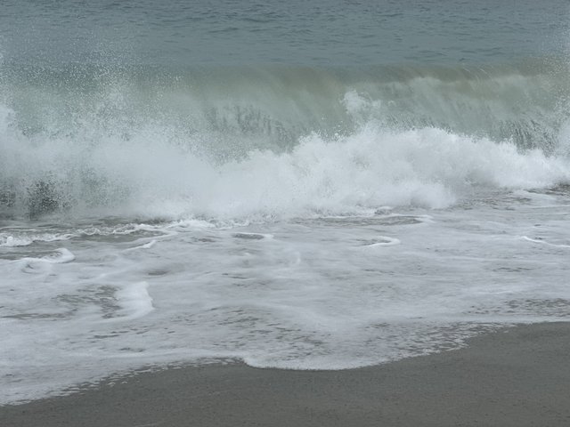 [Image: IMG-4779.jpg]