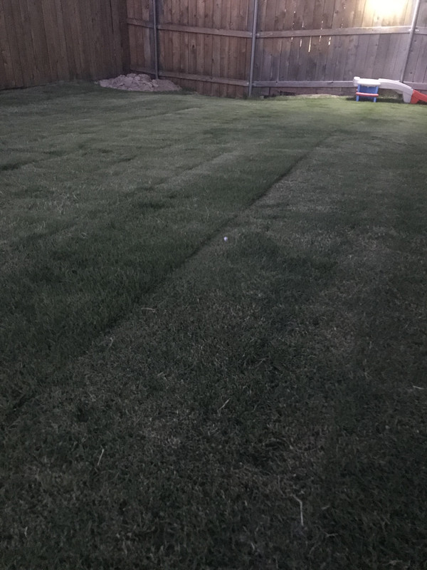 5135AD40-0165-4988-B1F6-97F41B6CFA17