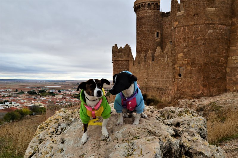 Belmonte-9-11-2016 - Cuenca y sus pueblos-2009/2011/2015/2016/2017 (62)